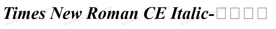 Times New Roman CE Italic字体转换